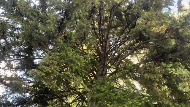 Удивительный Алтай! Восторг в каждом мгновении! смотреть онлайн