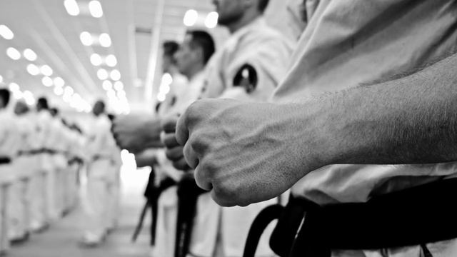 Oyama Karate Promo смотреть онлайн