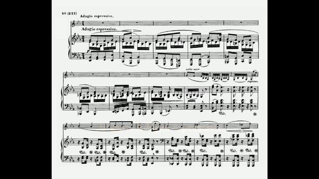 Beethoven Sonata for violin and piano No 10 Op 96 in G (1/2)