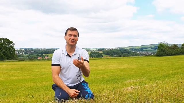 Стих из библии для размышления - Две наивысшие заповеди / От Луки 10:27 смотреть онлайн