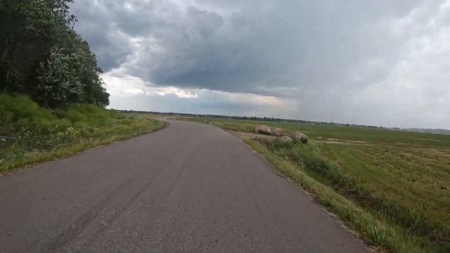 БРЕВЕТ ПУШКИНСКИЙ 300, 200 с Балтийской звездой смотреть онлайн