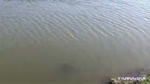 Не совсем обычная рыбалка смотреть онлайн