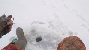 Рыбалка на балансир на окуня в начале марта