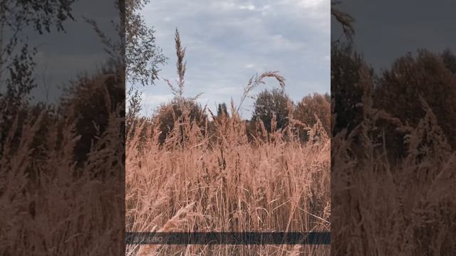 Із моря чистого (поезія Олени Герасим’юк) смотреть онлайн