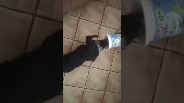 Таксист и сметана смотреть онлайн