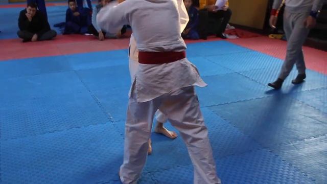 Открытый городской турнир по ДЖИУ-ДЖИТСУ 26.11.2022 (9)