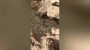 Шарм Эль шейх часть пятая