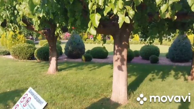 БЕЖЕНЦЫ ИЗ УКРАИНЫ В НОРВЕГИИ🇧🇻ВИДЕО ИЗ ОДЕССЫ❤️КАК СЕЙЧАС ЖИВУТ ОДЕССИТЫ💥 смотреть онлайн