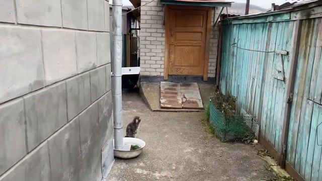 Улица, двор и огород. смотреть онлайн