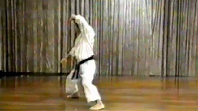 Kanazawa Hirokazu. Gankaku-sho. Kata & Bunkai. 1994. смотреть онлайн