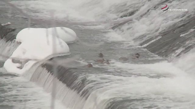 Капремонт водослива плотины на реке Нара проведут в 2022-2023 годах смотреть онлайн