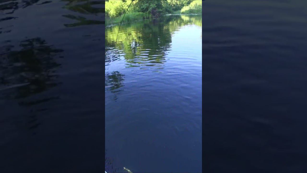 ДРУГ ВПЕРВЫЕ ПОЙМАЛ ТАКУЮ ЩУКУ! смотреть онлайн