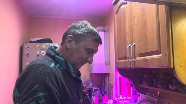 Как ХИТРАЯ ЖЕНА НАКОРМИЛА МУЖА ! Ох и лиса … смотреть онлайн