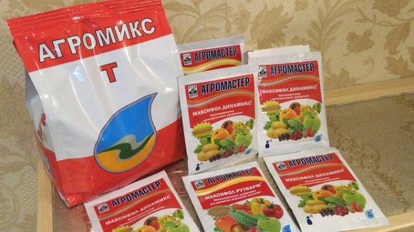 Максифол Рутфарм и Максифол Динамикс – российские аналоги итальянских стимуляторов корнеобразования