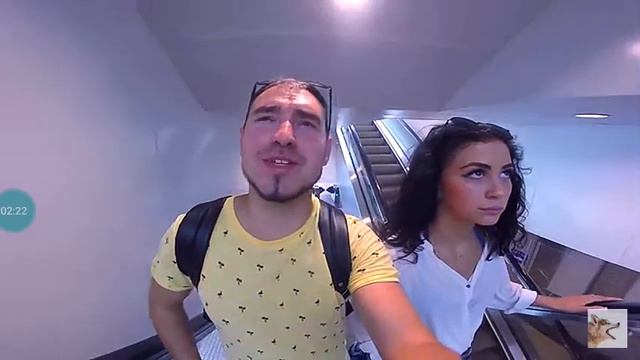 Хаски и маламут Роки Лекси и майк смотреть онлайн