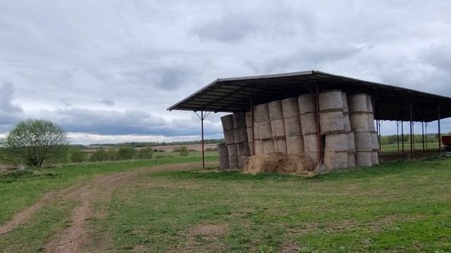 ПРОДАЕМ СЕНО. Урожай 22 года, Хорошая сохранность. Рулоны обмотаны сеткой. Хранение под навесом...