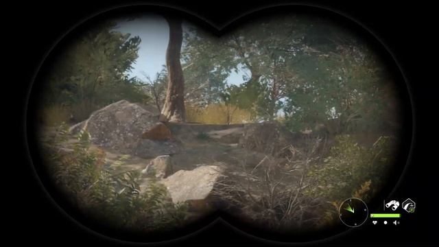 theHunter Call of the Wild Rancho Del Arroyo pheasant and turkey hunt смотреть онлайн