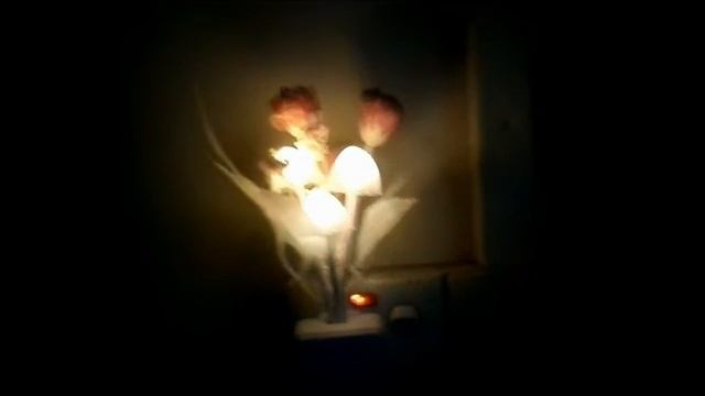 Night Queen LED Lamp by bengalmart.com смотреть онлайн