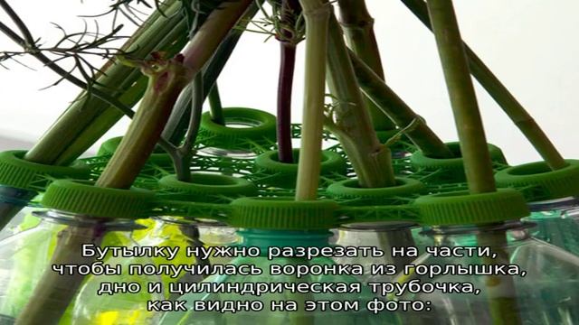 Свадебный букет невесты из живых цветов своими руками смотреть онлайн