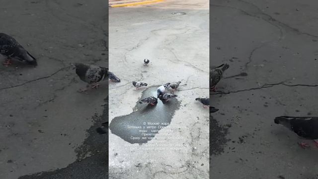 Москва 2021. Жара. смотреть онлайн
