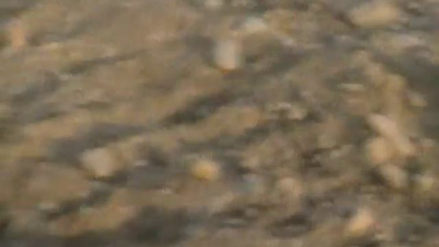 Работа грохота.MP4 смотреть онлайн