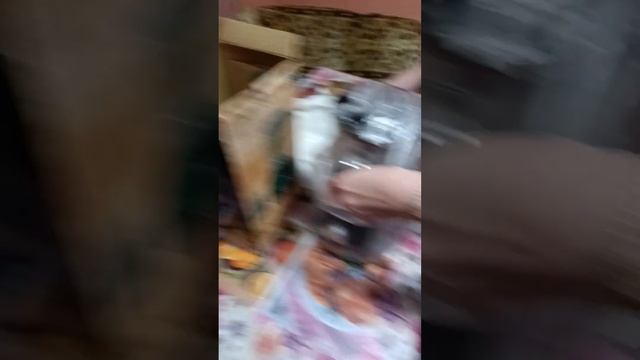 VID 20230202 202100 смотреть онлайн