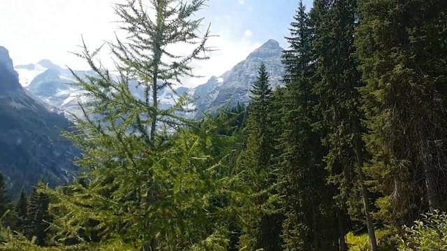#1 Bicycle tour from Prato on Passo dello Stelvio смотреть онлайн