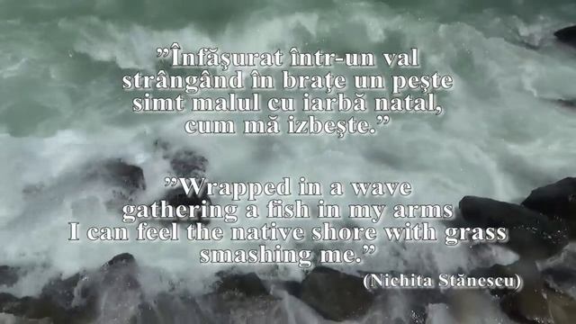 Romanian in Use - Excerpts From Some Romanian Poems About the Sea смотреть онлайн