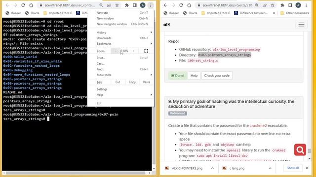 Task 9. 101-crackme password #Alx смотреть онлайн