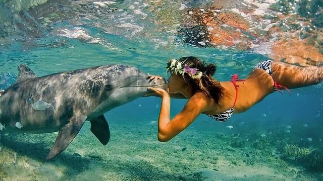 Отдых в Абхазии Багрипш смотреть онлайн