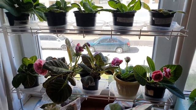 СТЕЛЛАЖ КЕДР НАОКОННЫЙ обзор.11.06.2021год смотреть онлайн