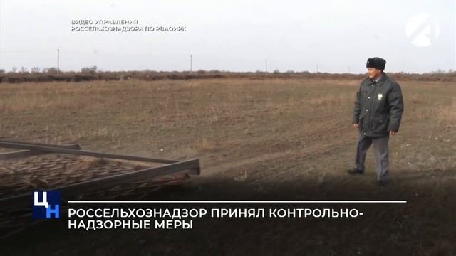 Россельхознадзор принял контрольно-надзорные меры смотреть онлайн