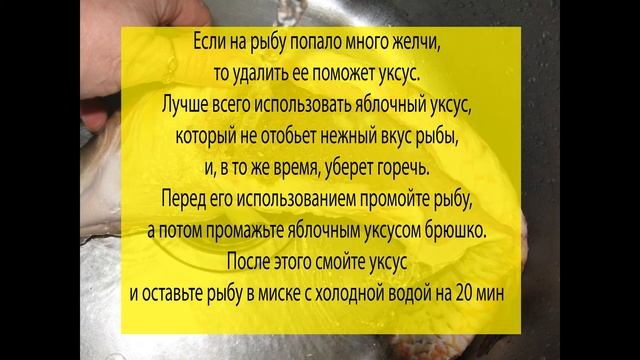 Как убрать горечь из рыбы? смотреть онлайн