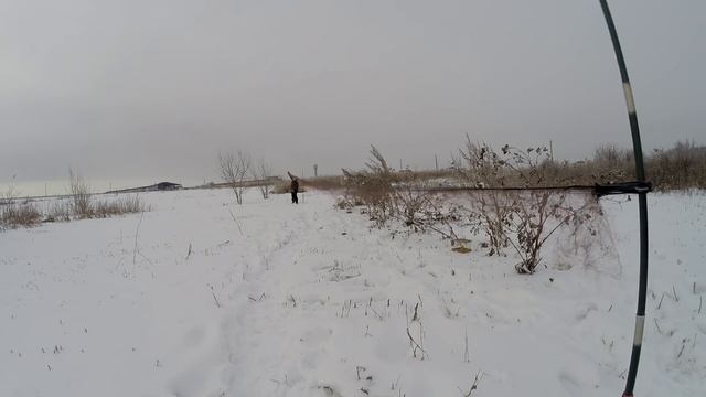 Ловля певчих птиц. Тест китайской ОС. Щеглы. (goldfinch catching) смотреть онлайн