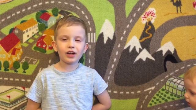 Обзор видео - выдра кушает корм из тарелки, сурикат засыпает, котенок застрял в тапке, капибара с щ смотреть онлайн