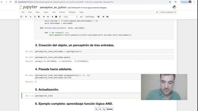 Perceptrón en Python смотреть онлайн