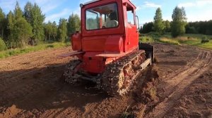 Работы на Лёхиной фазенде. Часть 4. Починили трактор. Лера работает на ДТ-75