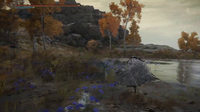 Spyder Plays Elden Ring Mod-Carian Combo Warriors-Chill no commentary Longplay-Episode 17 смотреть онлайн