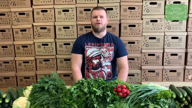 От одной грядки с зеленью до фермы. История проекта "Жили-растили" смотреть онлайн