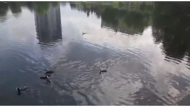 Озеро "Харовое" Казань смотреть онлайн