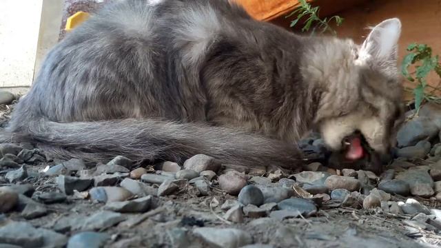 Руководство к Творчеству