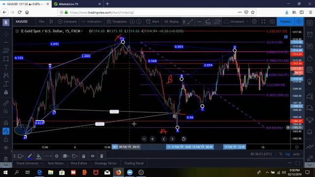 How To Catch 200 Pip Moves Trading Harmonics ! смотреть онлайн