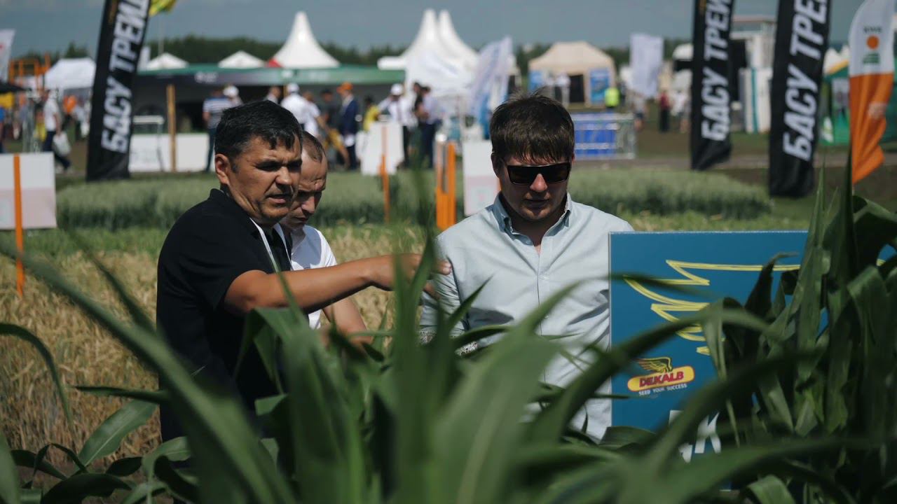 Bayer_video_26_11 смотреть онлайн
