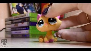 Обзор lps коллекции | Diakitty