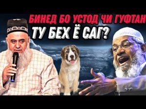 ХОЧИ МИРЗО 2022 ТУ БЕХТАР ХАСТИ Ё САГ_ САВОЛУ ЧАВОБ