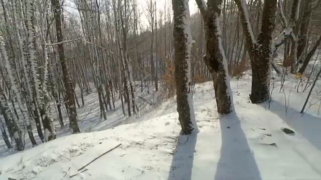 #Алушта. 08 02 20г. ИЗ АЛУШТЫ ЗА СНЕГОМ. АНГАРСКИЙ ПЕРЕВАЛ. смотреть онлайн