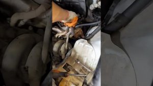 Замена прокладки ГБЦ Грит Валь Сафе