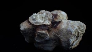 Профилактика мочекаменной болезни (камни в почках) Блемарен®