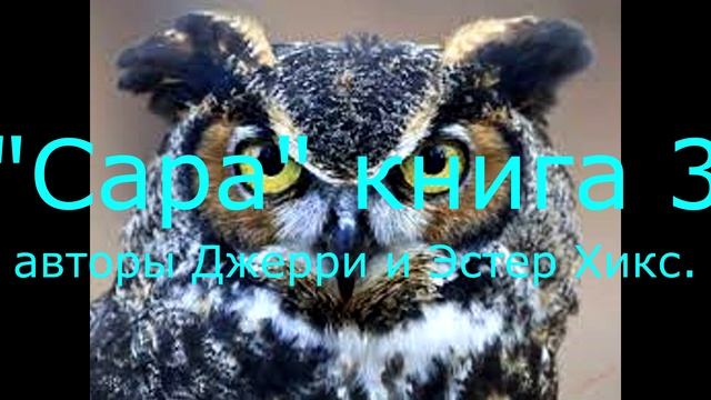 "Сара" книга 3 - Глава 6 , аудио-вариант книги Джерри и Эстер Хикс. смотреть онлайн