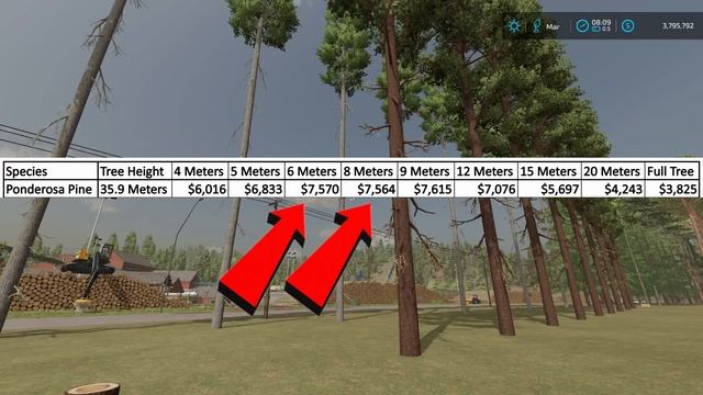Most Profitable Tree In Farming Simulator 22 смотреть онлайн